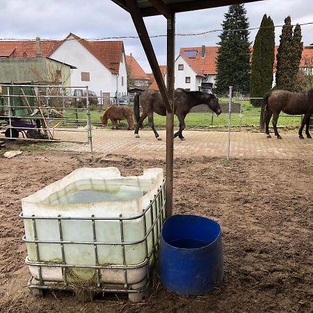 Ferienwohnung mit Herz Trendelburg Exterior foto