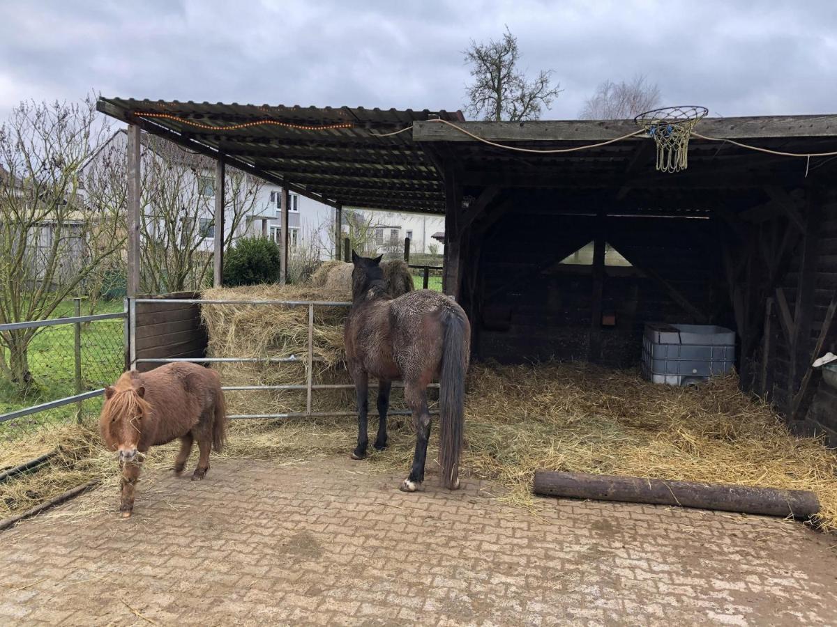 Ferienwohnung mit Herz Trendelburg Exterior foto